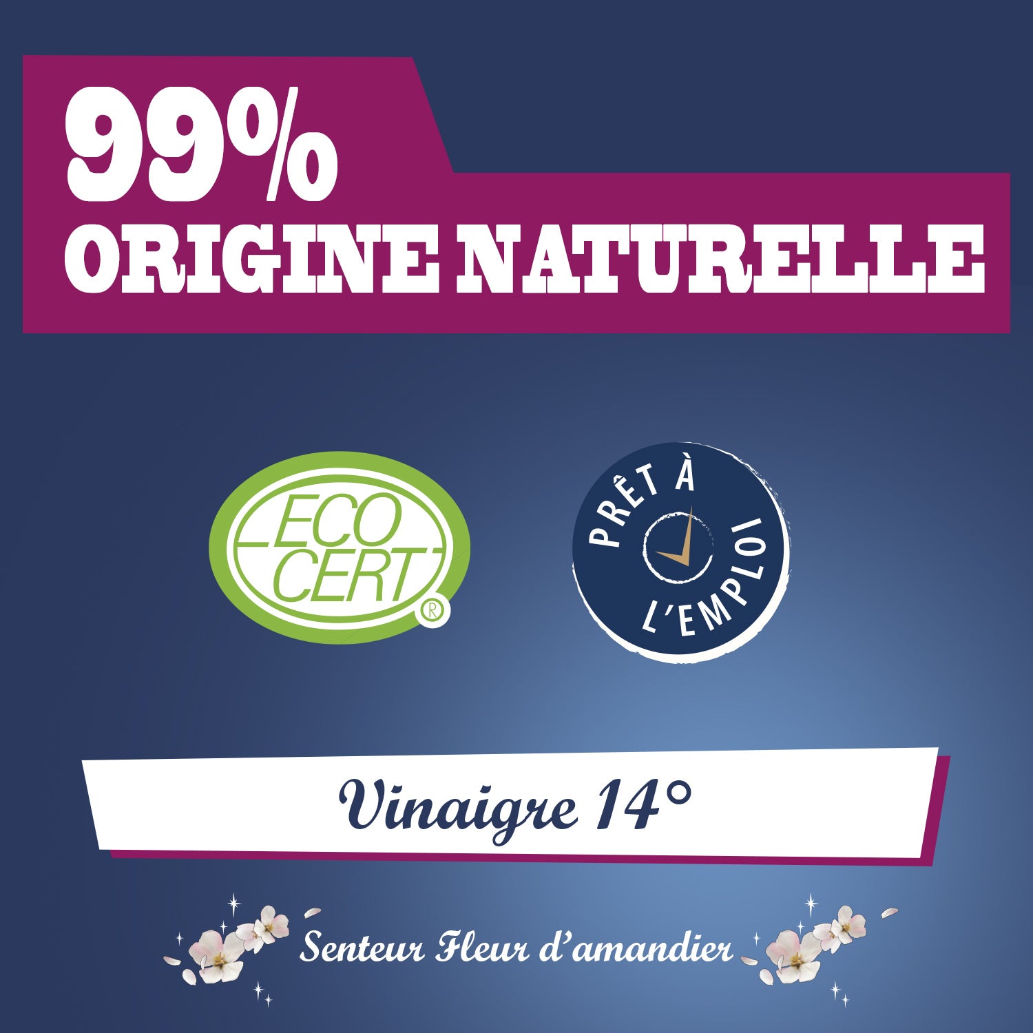 JACQUES BRIOCHIN - Vinaigre parfumé  parfum fleur d'amandier 1L Parfum fleur d'amandier