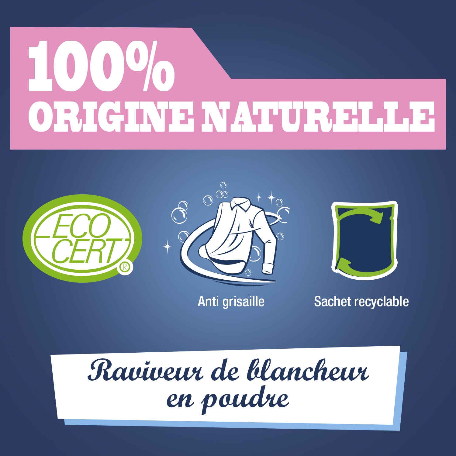 JACQUES BRIOCHIN - La poudre au percarbonate de soude 500g