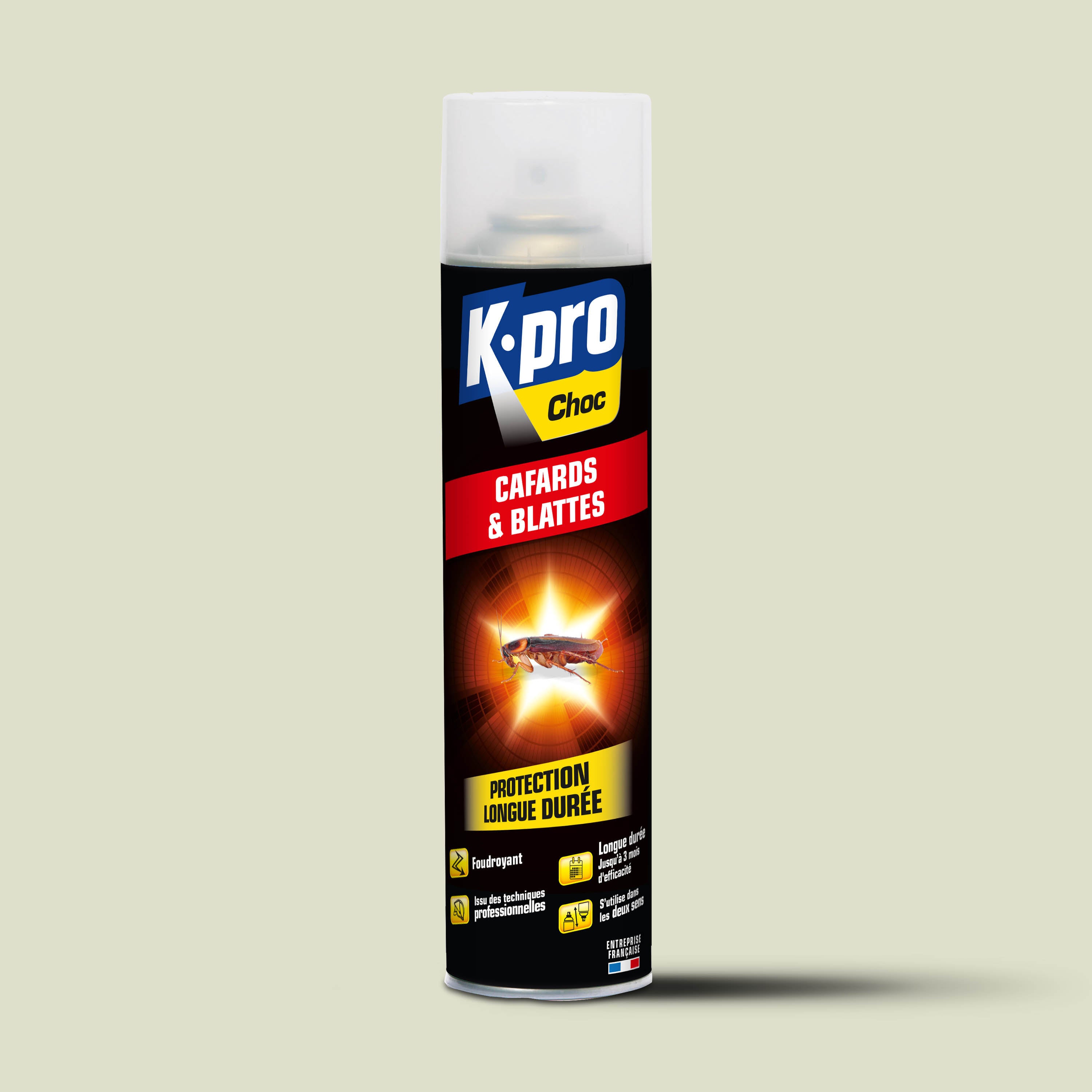 K.PRO - Aérosol foudroyant cafards et blattes
 400ml