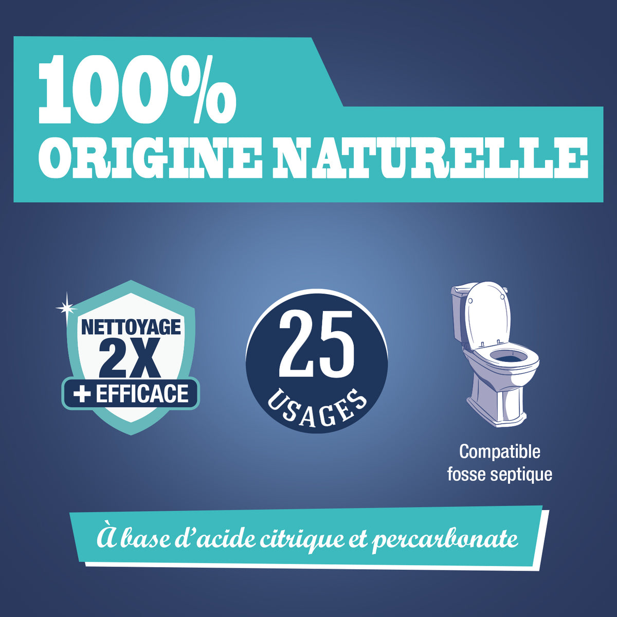 Lot de 3 Poudre WC super détartrante