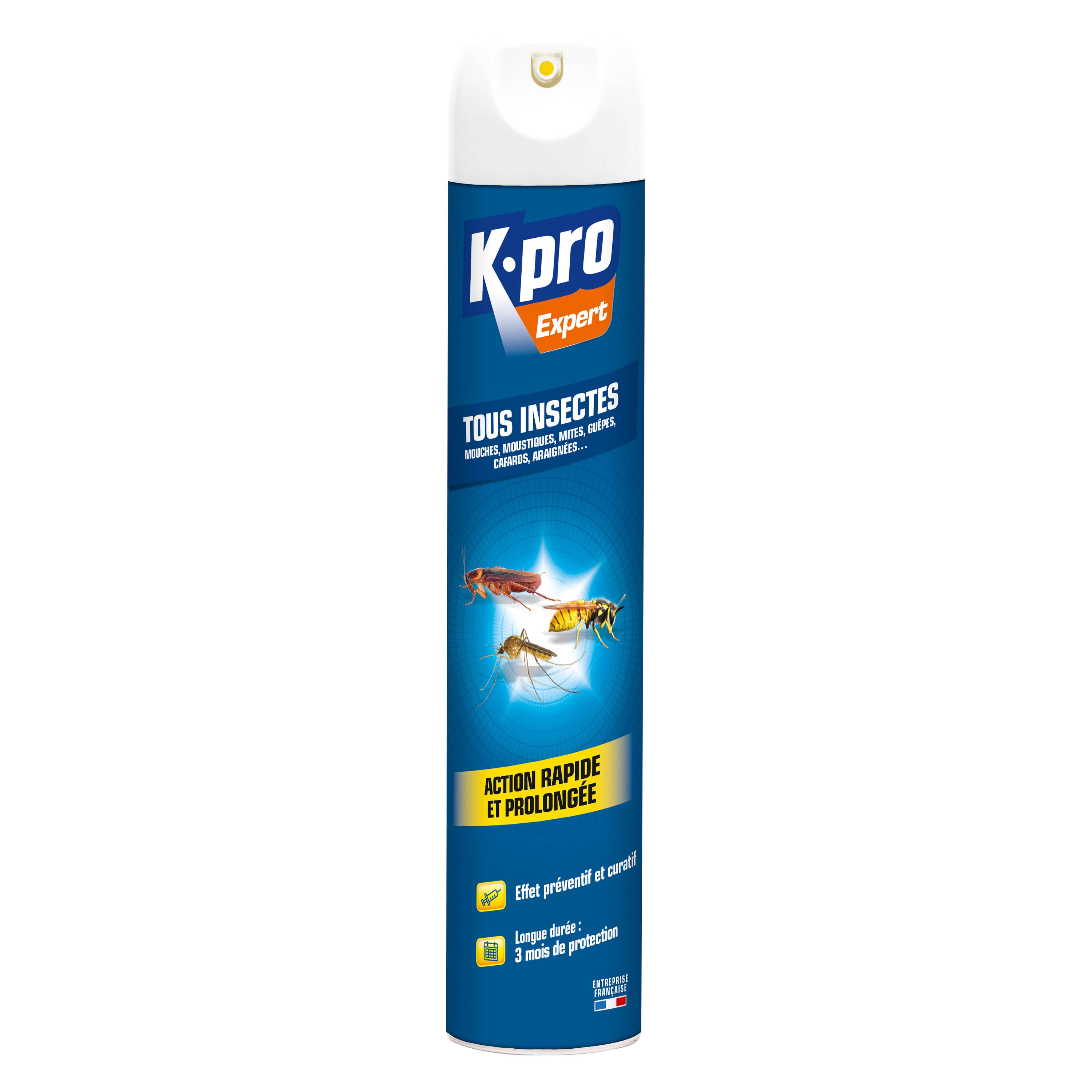 K.PRO - Aérosol tous insectes
 300 ml