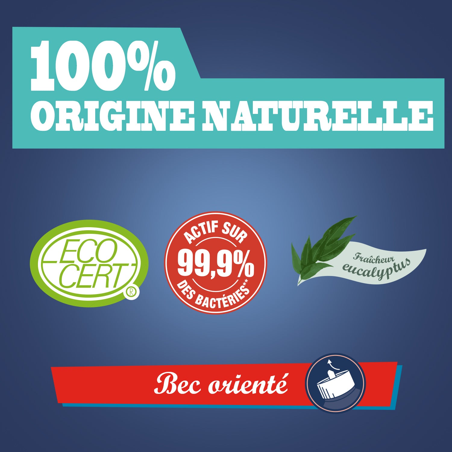 JACQUES BRIOCHIN - Gel WC désinfectant 750ml Eucalyptus