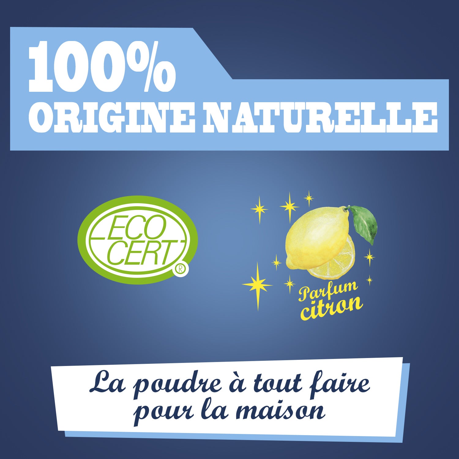 JACQUES BRIOCHIN - Le Bicarbonate de soude parfumé 500g Citron