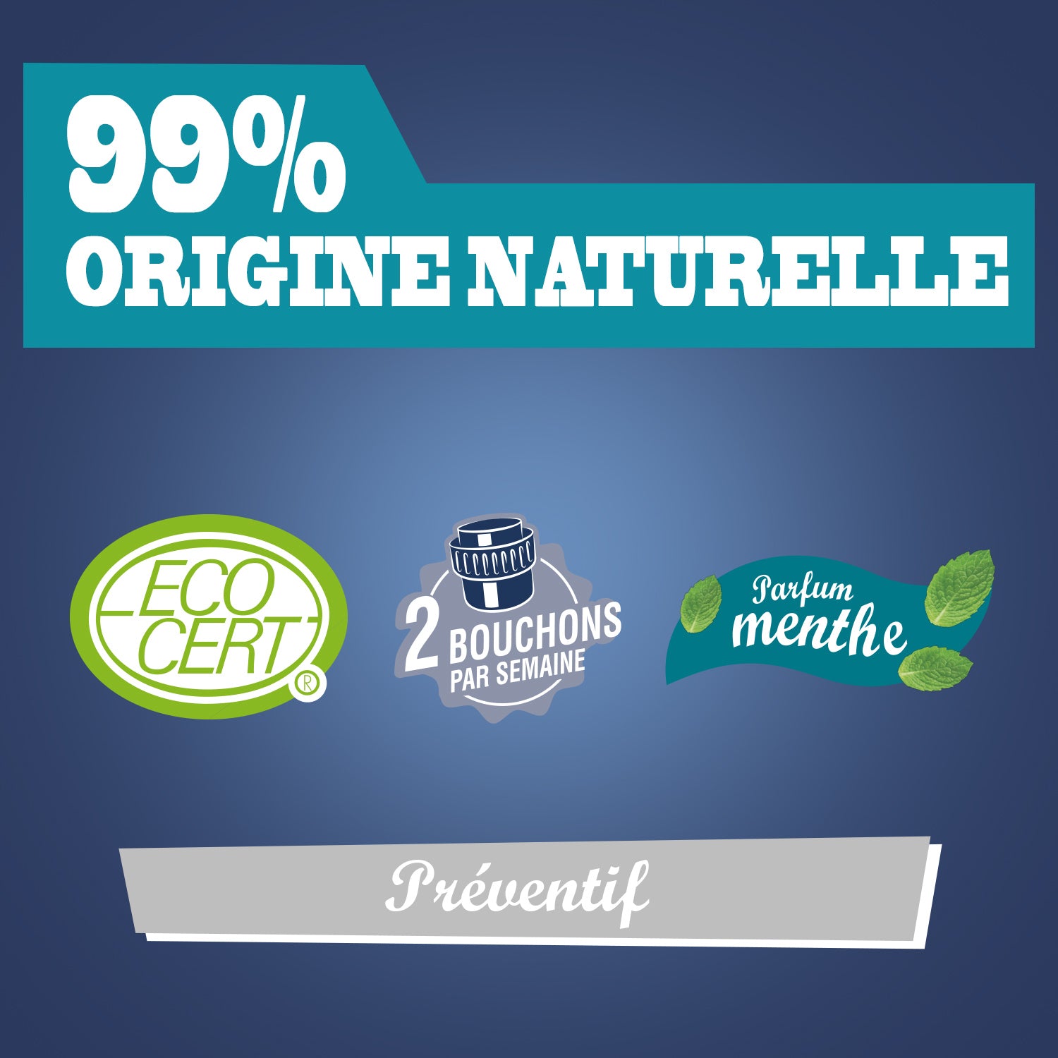 JACQUES BRIOCHIN - Le gel entretien canalisations 900ml Menthe