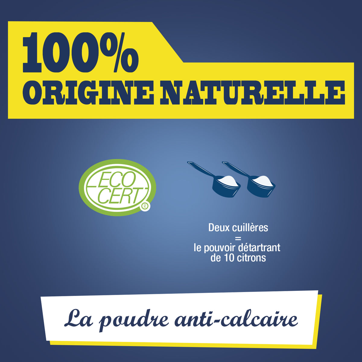 Lot de 3 Acide Citrique 900g