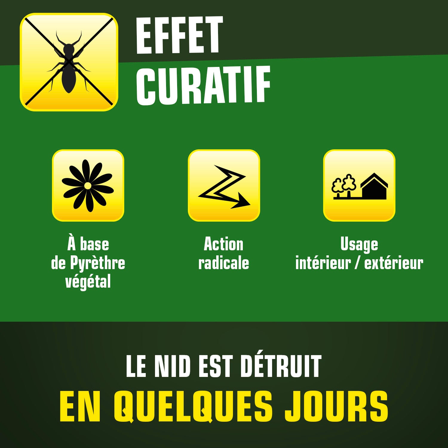 K.PRO - Tube fourmis 20g