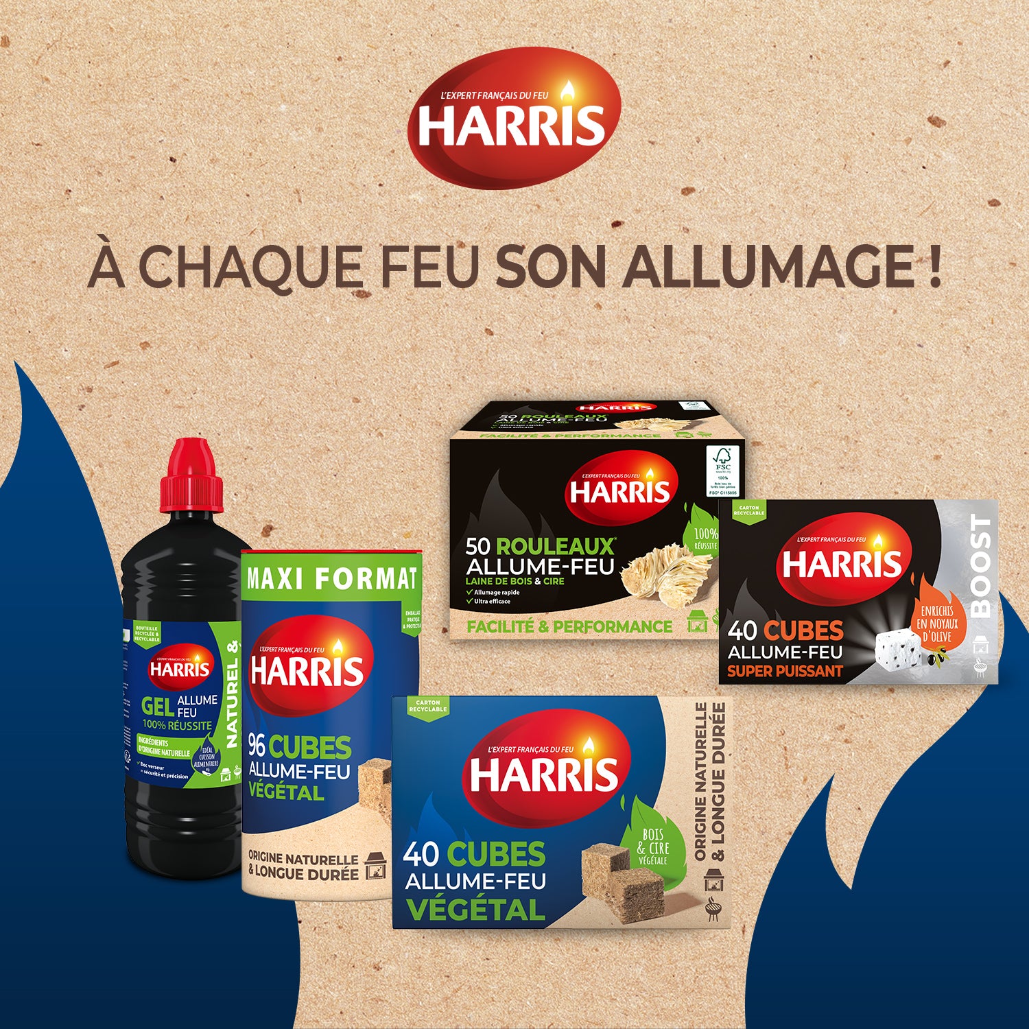 HARRIS - 50 rouleaux allume-feu 100% naturels FSC® x50