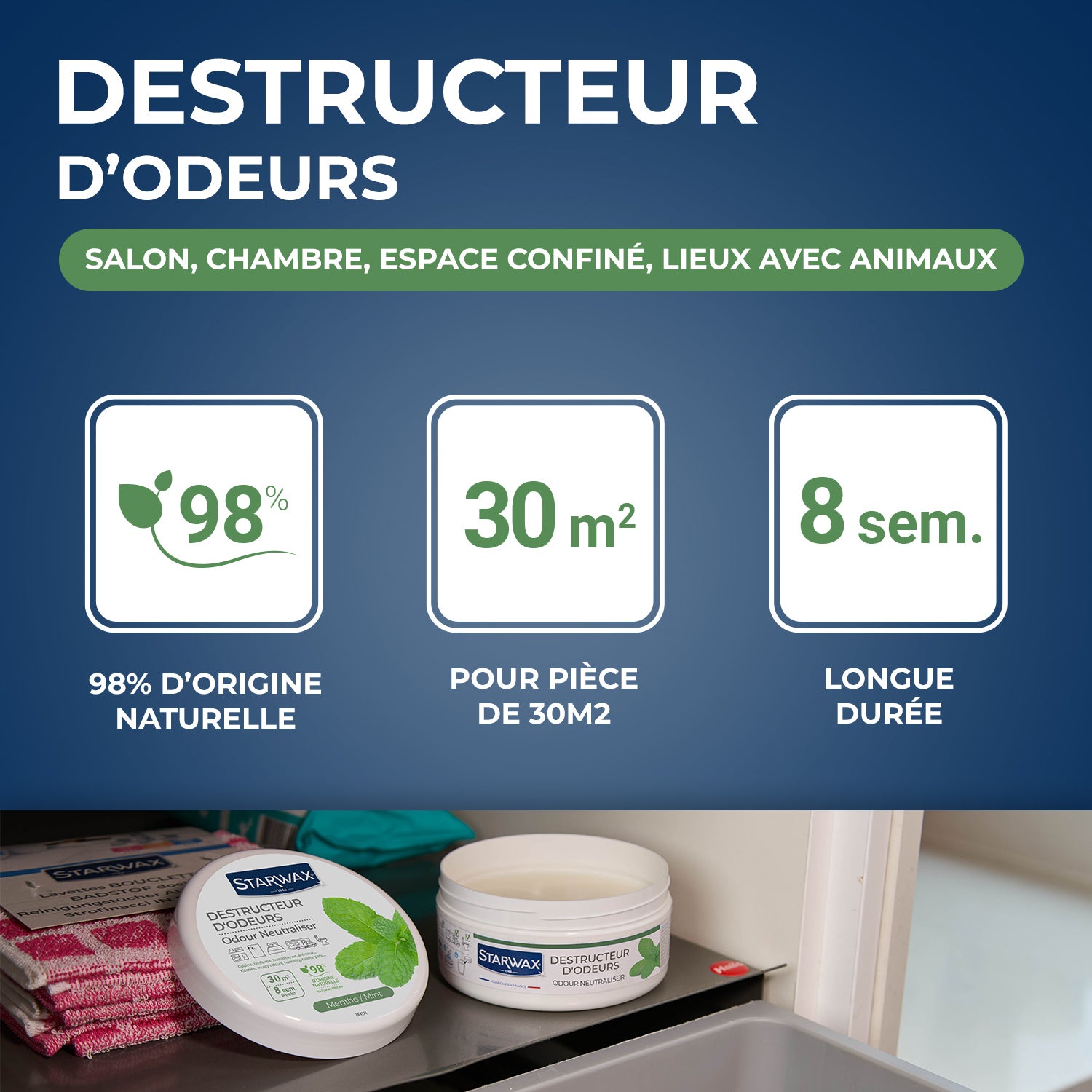 STARWAX - Destructeur d'odeurs Menthe 300g Parfum Menthe