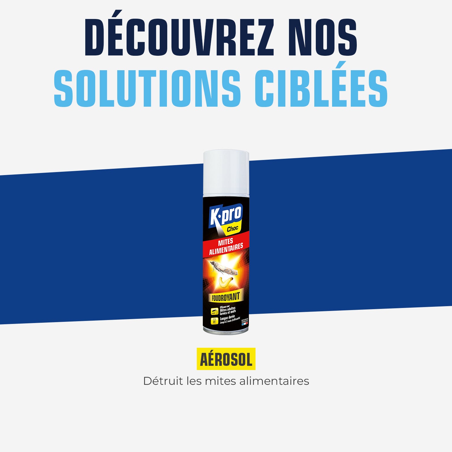 K.PRO - Aérosol foudroyant mites alimentaires 250ml