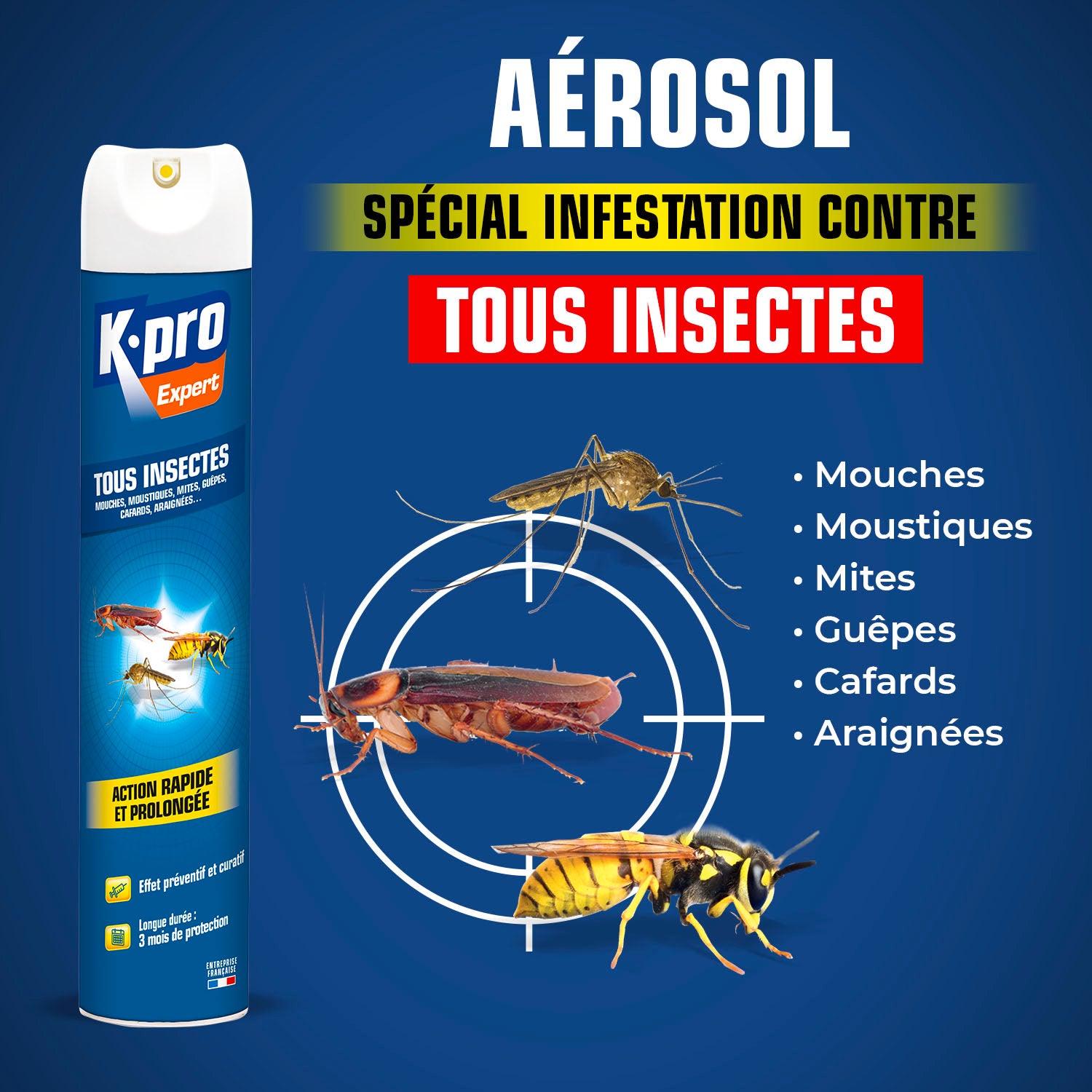 K.PRO - Aérosol tous insectes
 300 ml