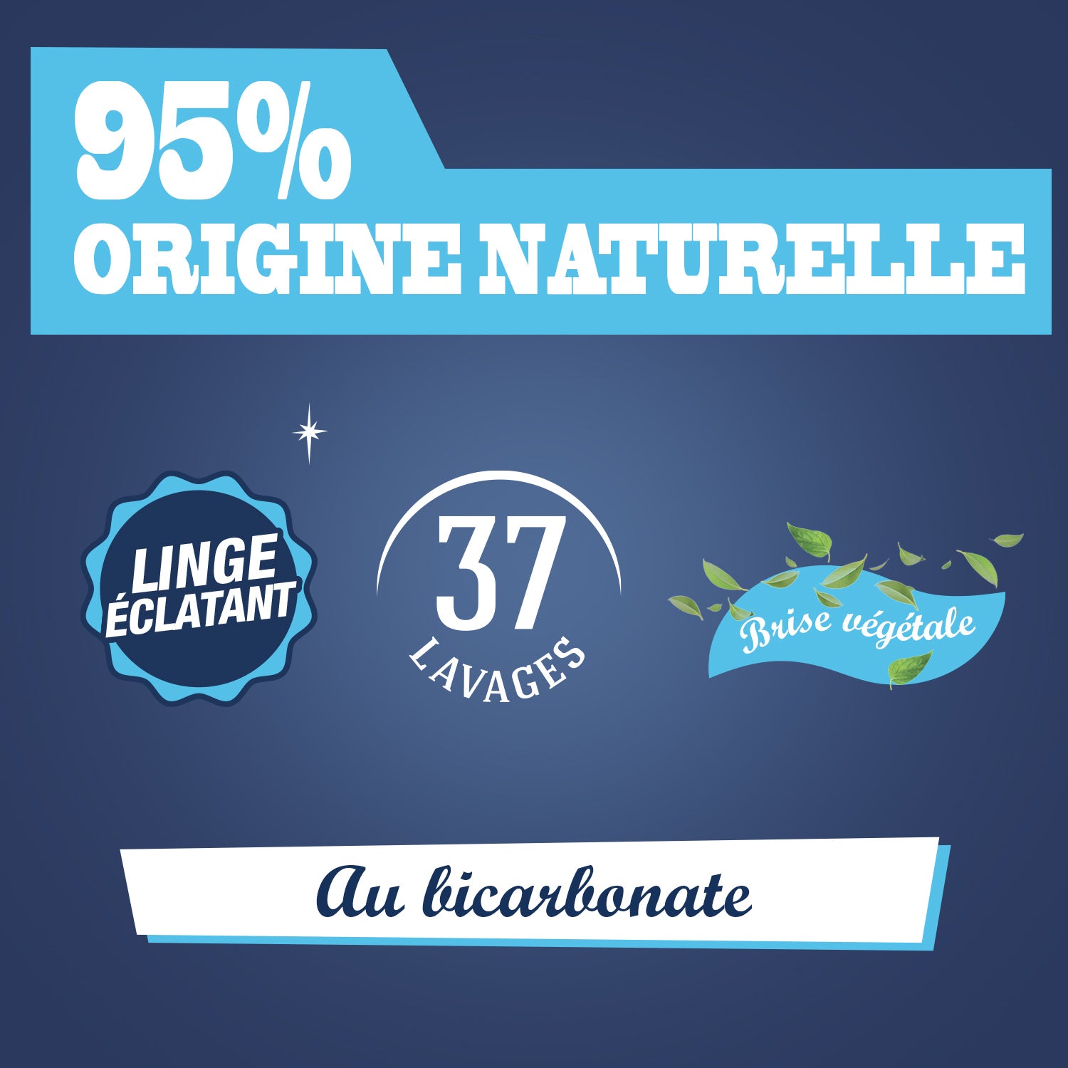 JACQUES BRIOCHIN - Recharge Ma Lessive au bicarbonate de soude - Fraîcheur 1,7L Brise Végétale
