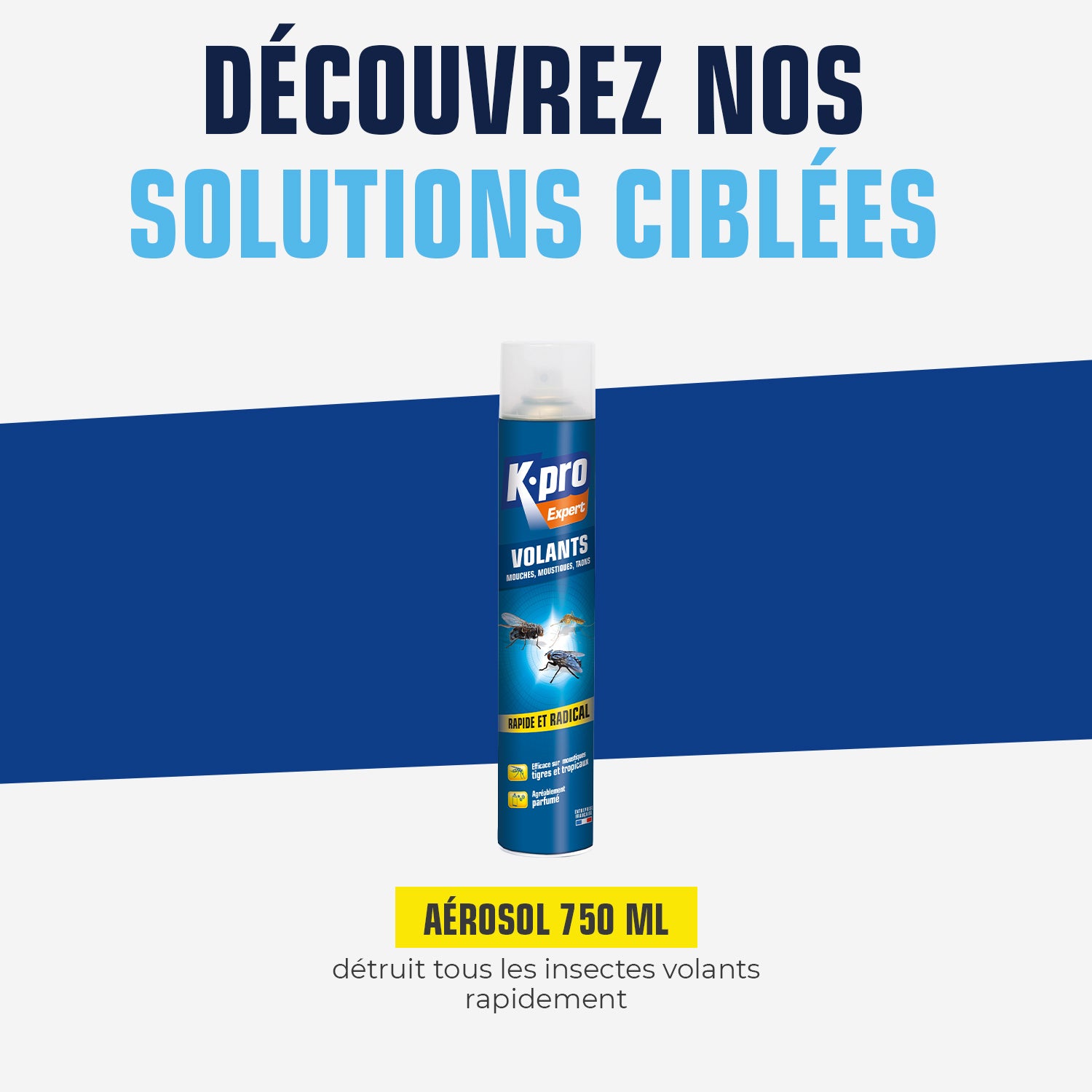 K.PRO - Aérosol insectes volants 750ml