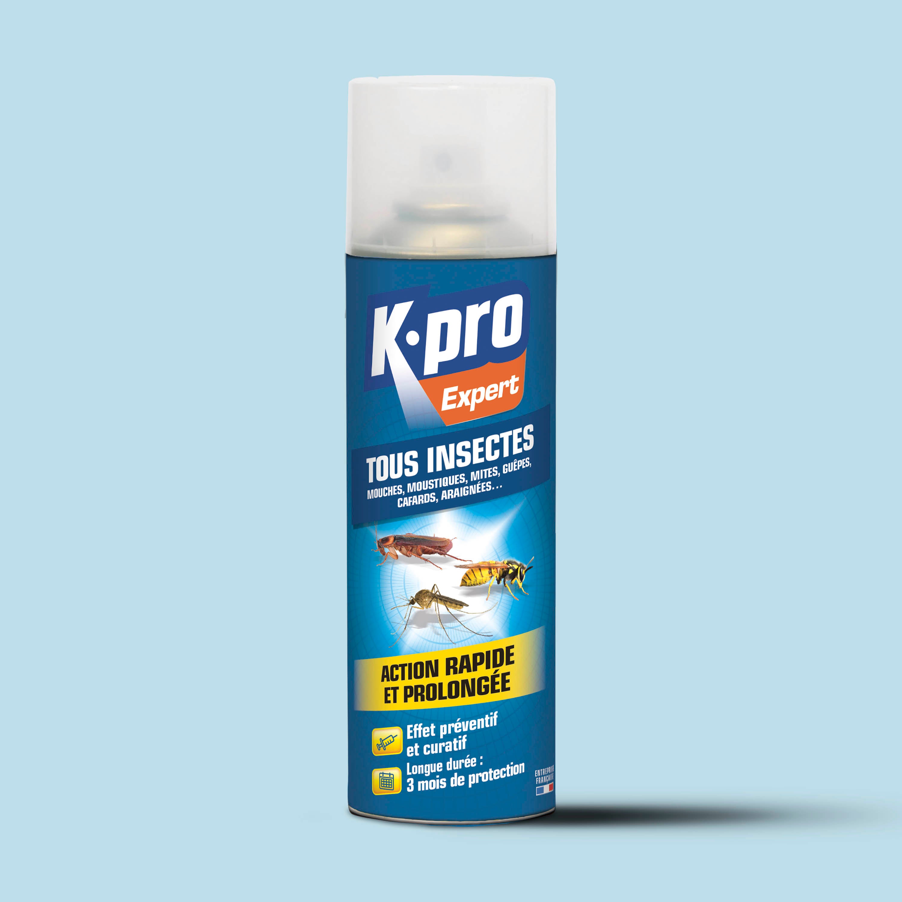 K.PRO - Aérosol tous insectes
 300 ml