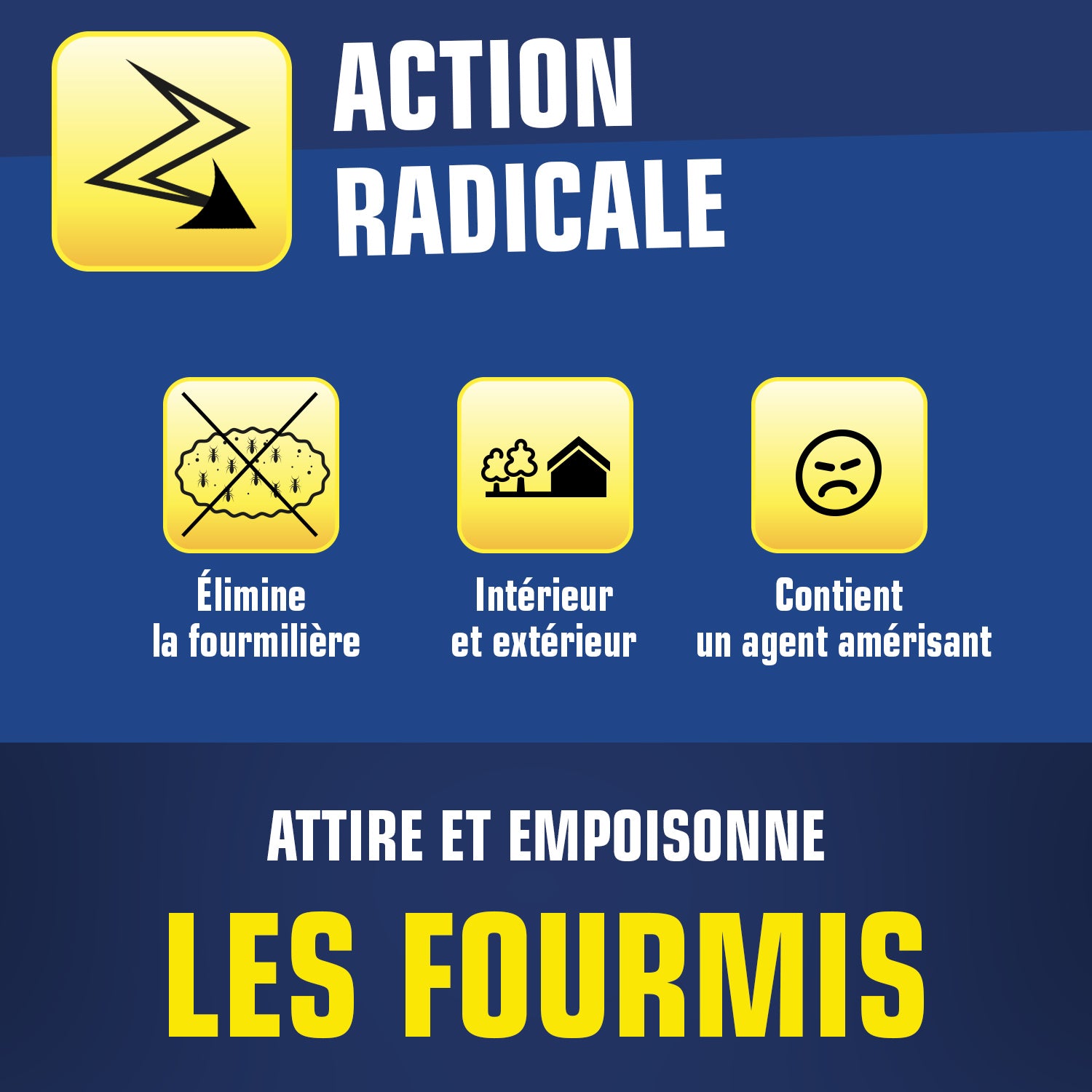 K.PRO - Boite fourmis X1