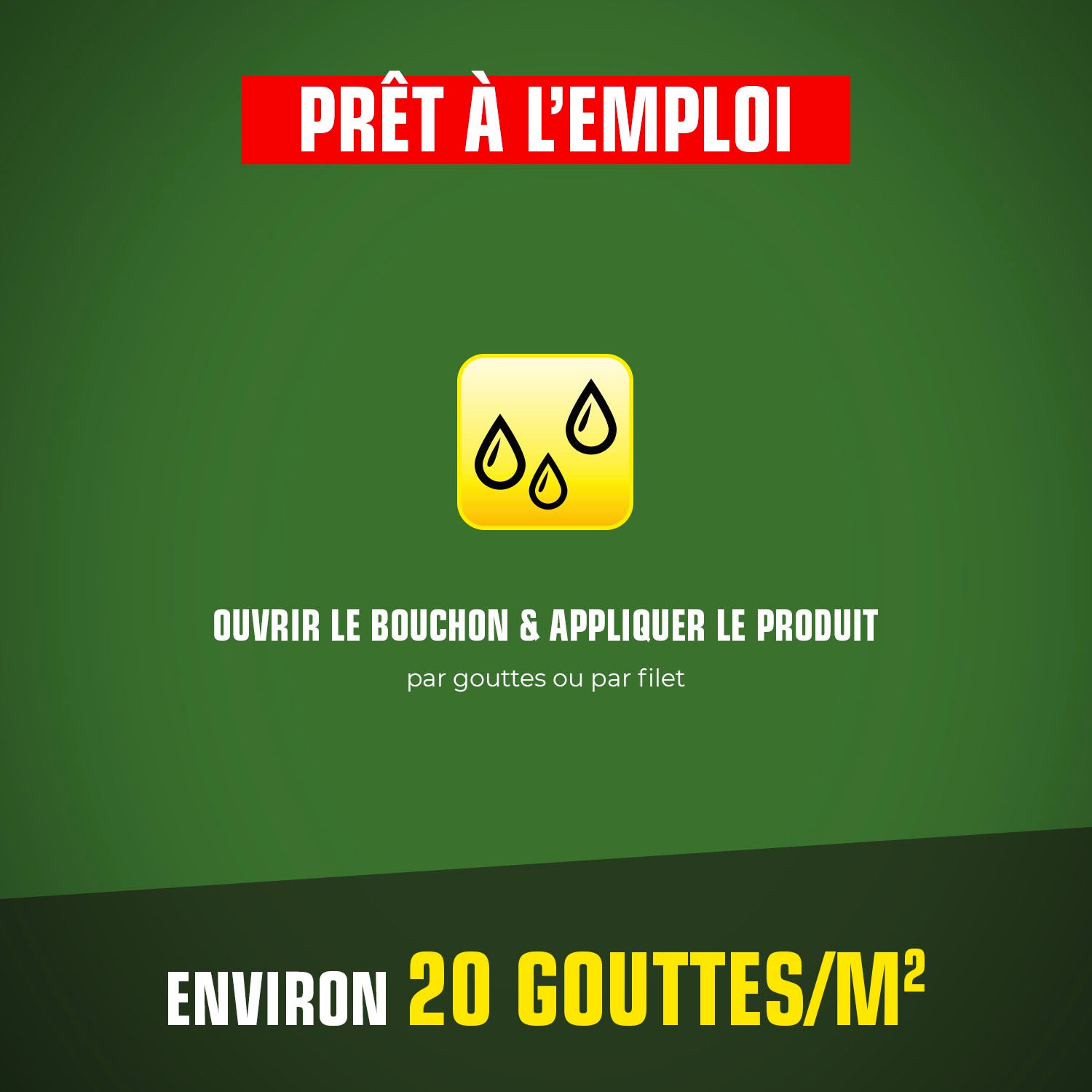 K.PRO - Tube fourmis 20g