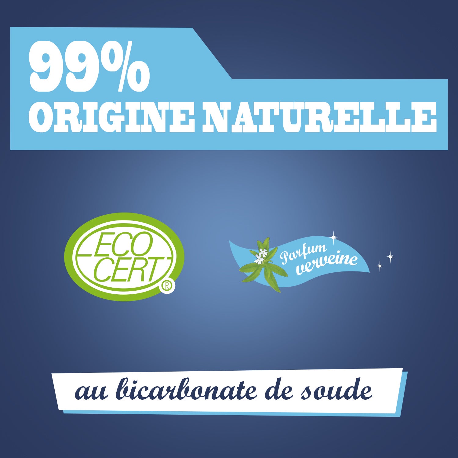 JACQUES BRIOCHIN - Mousse nettoyante au Bicarbonate de Soude - Parfum verveine 750ml Verveine