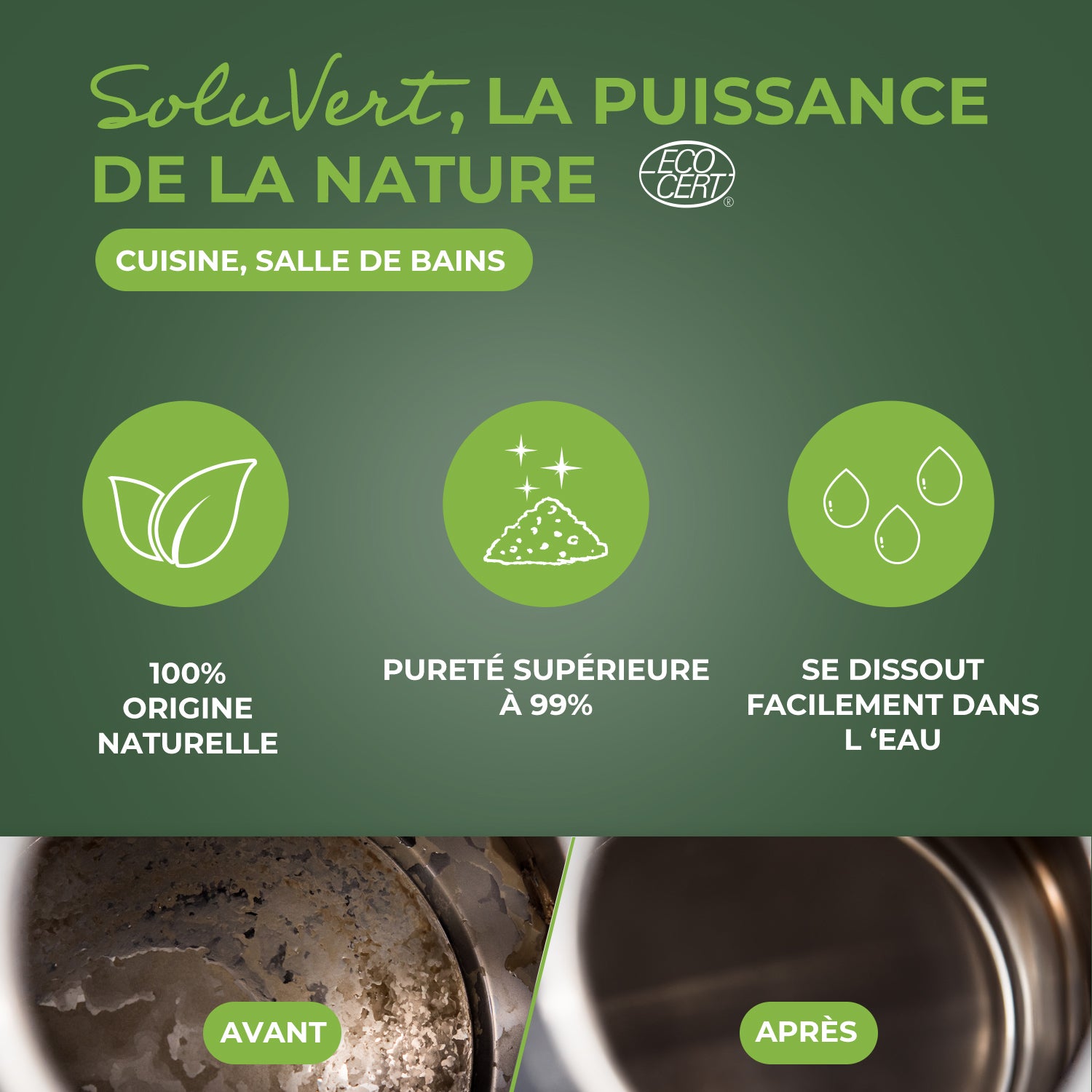 STARWAX SOLUVERT - Acide citrique 1kg