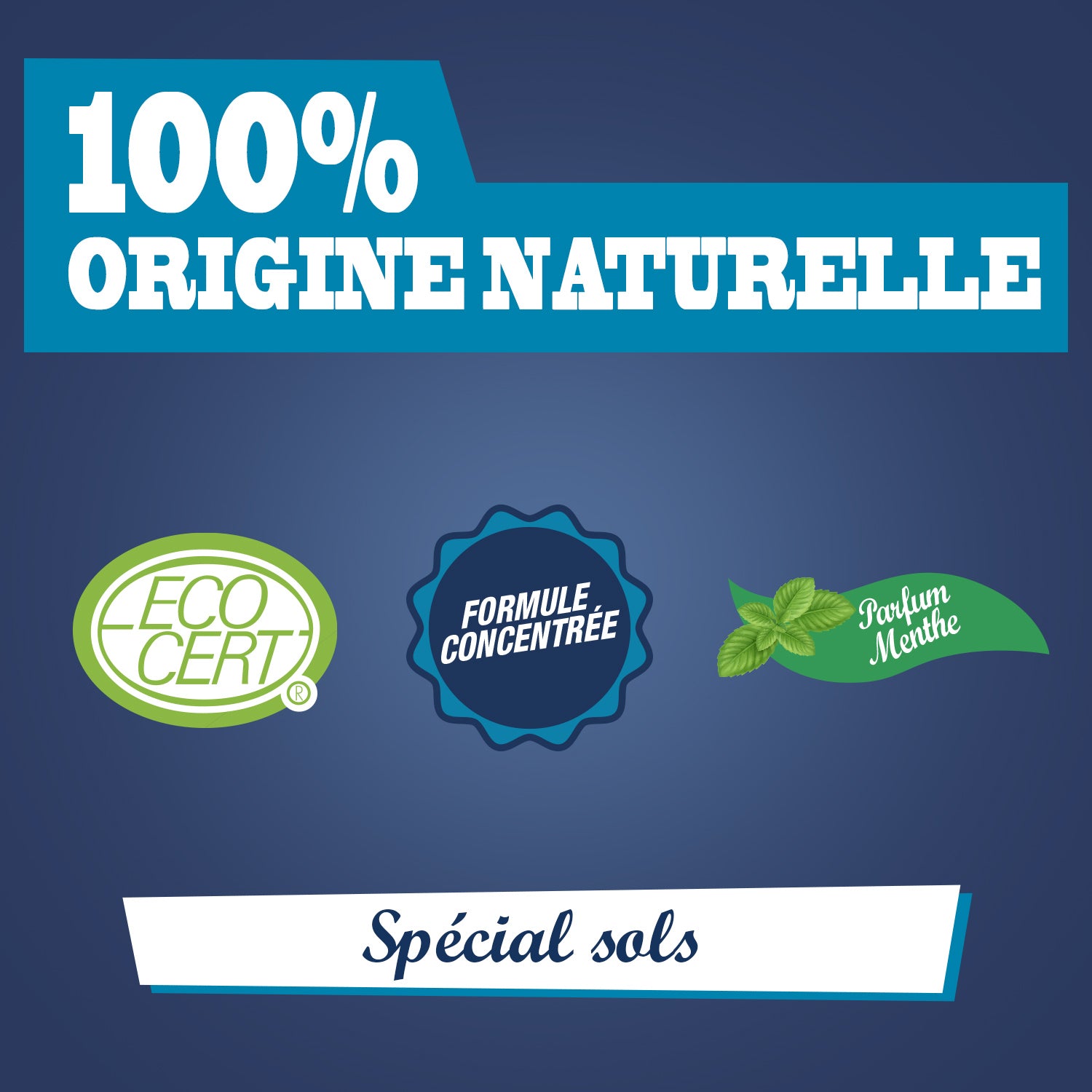 JACQUES BRIOCHIN - Nettoyant purifiant Sols et surfaces 1L Menthe eucalyptus