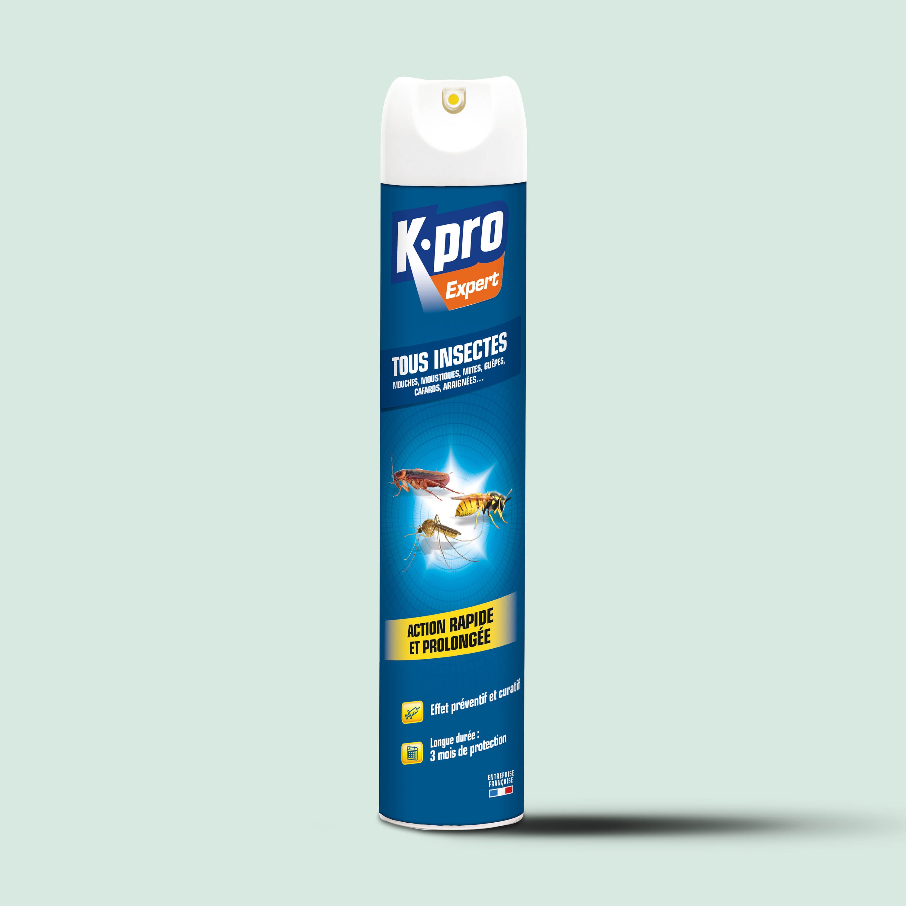 K.PRO - Aérosol tous insectes
 300 ml