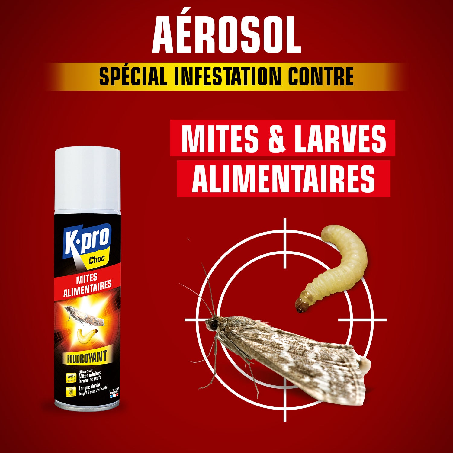 K.PRO - Aérosol foudroyant mites alimentaires 250ml