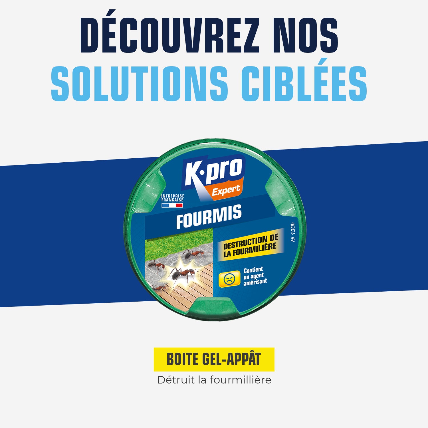 K.PRO - Boite fourmis X1