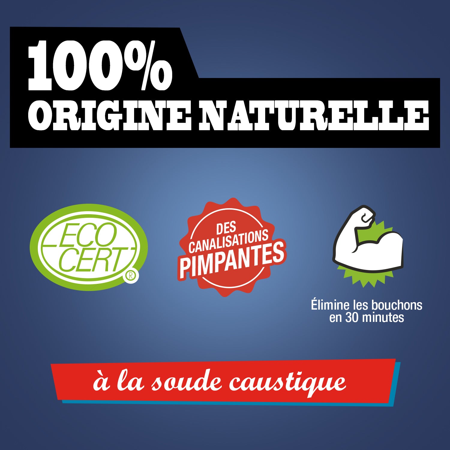 JACQUES BRIOCHIN - Le déboucheur extra efficace à la soude 900ml Sans parfum