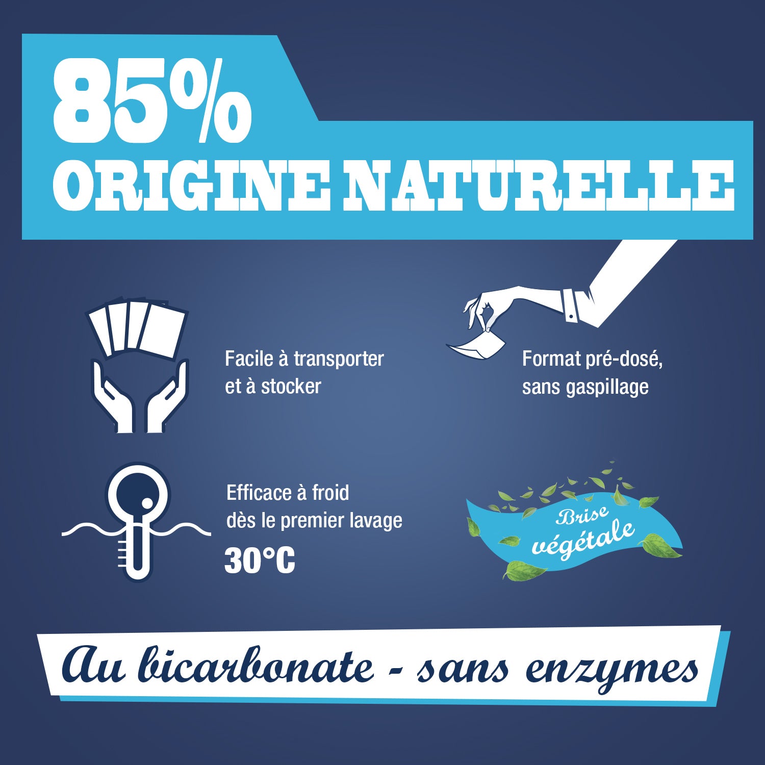 JACQUES BRIOCHIN - Feuilles de lessive au Bicarbonate parfum Brise végétale 20 feuilles Parfum Brise végétale