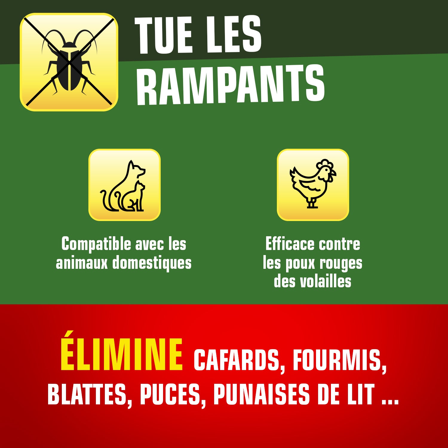 K.PRO - Terre de Diatomée Punaises de Lit avec flacon applicateur 1kg Maxi format