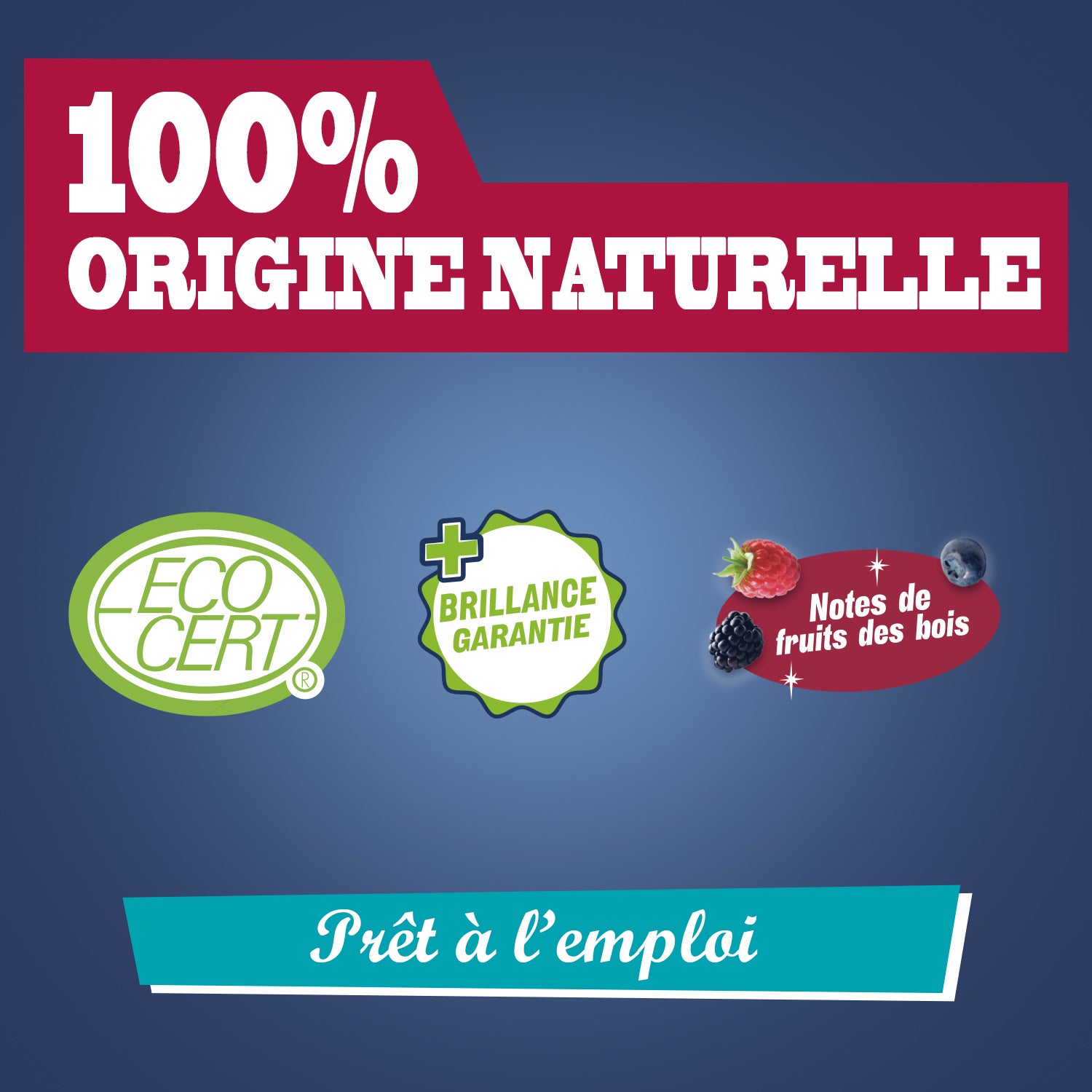 JACQUES BRIOCHIN - Vinaigre de ménage prêt à l'emploi parfum fruits des bois 750ml Fruits des bois