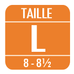 Taille L