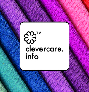 CleverClare Logo