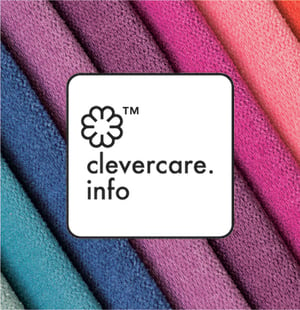 CleverClare Logo